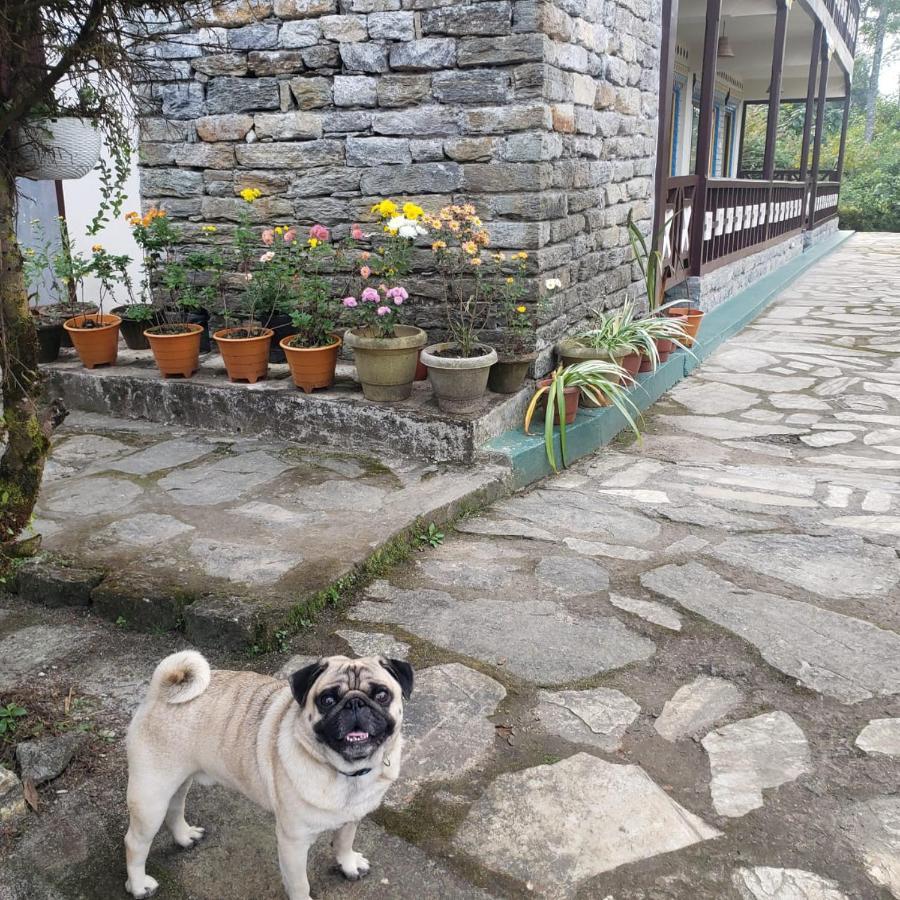 The Nettle And Fern Farmstay Pelling Dış mekan fotoğraf