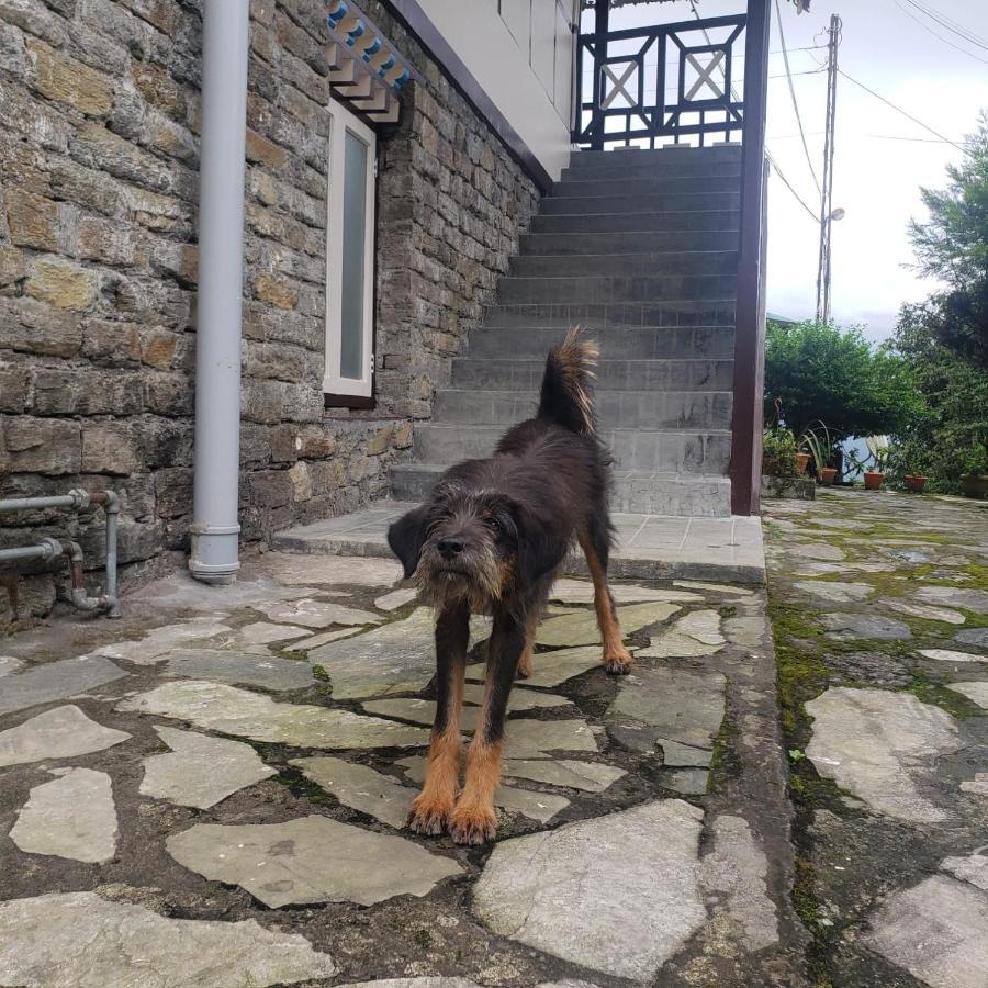 The Nettle And Fern Farmstay Pelling Dış mekan fotoğraf